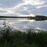 два крыла :: Елена Шаламова