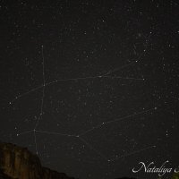 Природа Крыма :: Amazing Cosmea