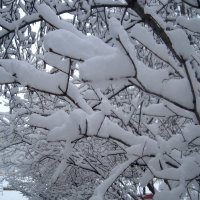 Снежной зимой :: Елена Семигина