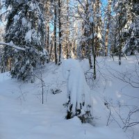 заблудился :: Владимир 