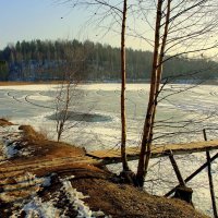 *** :: Aleksandr Gal