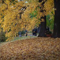 Золотая листва,золотая... :: Лилия *