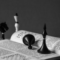 Учись правильно ходить! :: Елена Пономарева