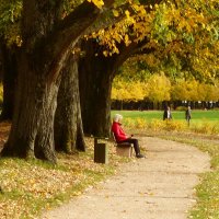 Под шумящей листвой :: Юрий. Шмаков