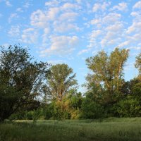 *** :: Александр. AVG100 ---