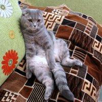 На отдыхе. :: Alex 711402 На отдыхе. :: Alex 711402