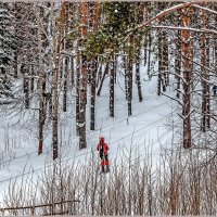 Активный отдых... :: Aquarius - Сергей