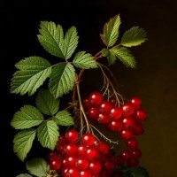 Маленький натюрморт :: Георгий Пичугин