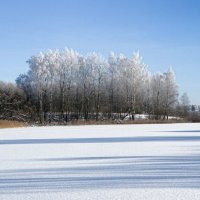 Холодное, февральское утро. :: Милешкин Владимир Алексеевич Холодное, февральское утро. :: Милешкин Владимир Алексеевич