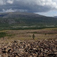 Полярный Урал. Ямал :: Tata Wolf