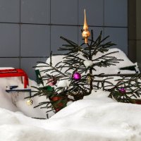 Засыпало ёлочку :: Валерий Иванович