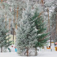 В городском парке :: Галина Нестратова В городском парке :: Галина Нестратова