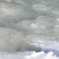 Лёд Каспия :: Анатолий Чикчирный