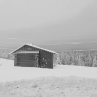 Холода :: Лариса С.