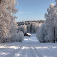 Зимние зарисовки ... :: Ravile 