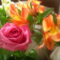 Букет :: Елена Семигина