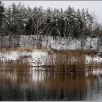 *** :: Aleksandr Gal