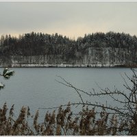 *** :: Aleksandr Gal