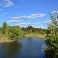 Донские виды. :: Виктор 