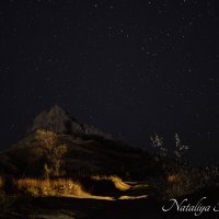 Природа Крыма :: Amazing Cosmea