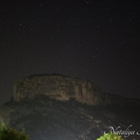 Природа Крыма :: Amazing Cosmea