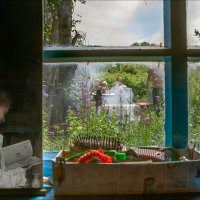 ПОДОКОННИК :: Александр Кустов