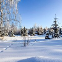 Зима-2026 :: ferm64@mail.ru