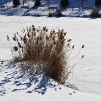 Ростовские зарисовки :: Александр Гапоненко