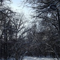 В солнечный день... :: Freddy 97