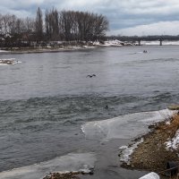 Река Кубань, январь 2026 :: Игорь Сикорский