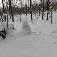 Рыбак :: Игорь Ч.