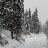 Путь :: Радмир Арсеньев Путь :: Радмир Арсеньев