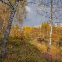 Палитра октября... :: Владимир Жданов