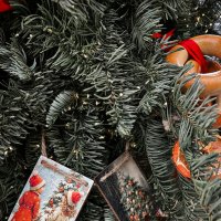 Мимоходом :: Michel 