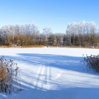 Озёра Смоленщины. :: Милешкин Владимир Алексеевич 