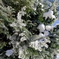 В парке Тондилоо :: Veera V