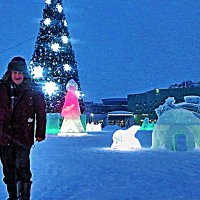 Февраль...Утром у елки! :: Владимир 