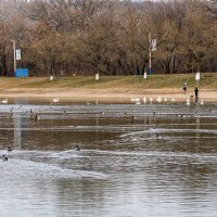 Городское водохранилище :: Игорь Сикорский Городское водохранилище :: Игорь Сикорский