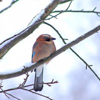 Утро :: краснов юрий 