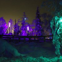 Таинственный лес :: Ольга Таинственный лес :: Ольга