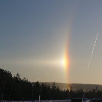 Зимнее гало :: Ольга Зимнее гало :: Ольга
