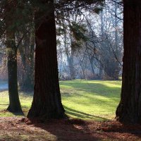 Утро :: Юрий. Шмаков