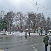 На пешеходном переходе :: Валентин Семчишин