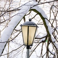 Фонарь. :: Владимир А.Р. 