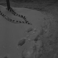 Мир иной :: Сергей Матвеенко