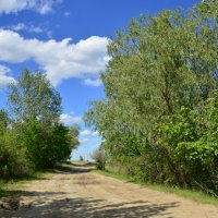 Донские виды. :: Виктор 