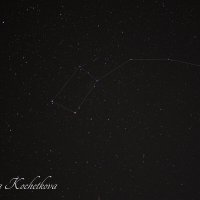 Природа Крыма :: Amazing Cosmea