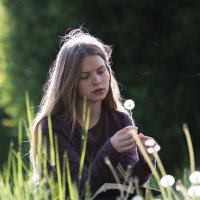 * :: Евгений Ваулин