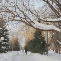 ***** :: юрий поляков