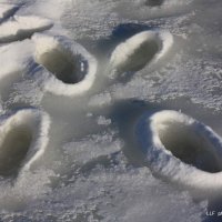 Замёрзшие следы... :: Liudmila LLF